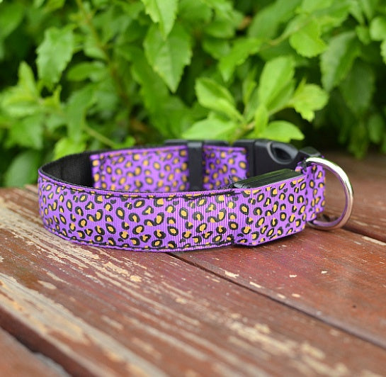 Safety LED Pet Collar with Leopard Design