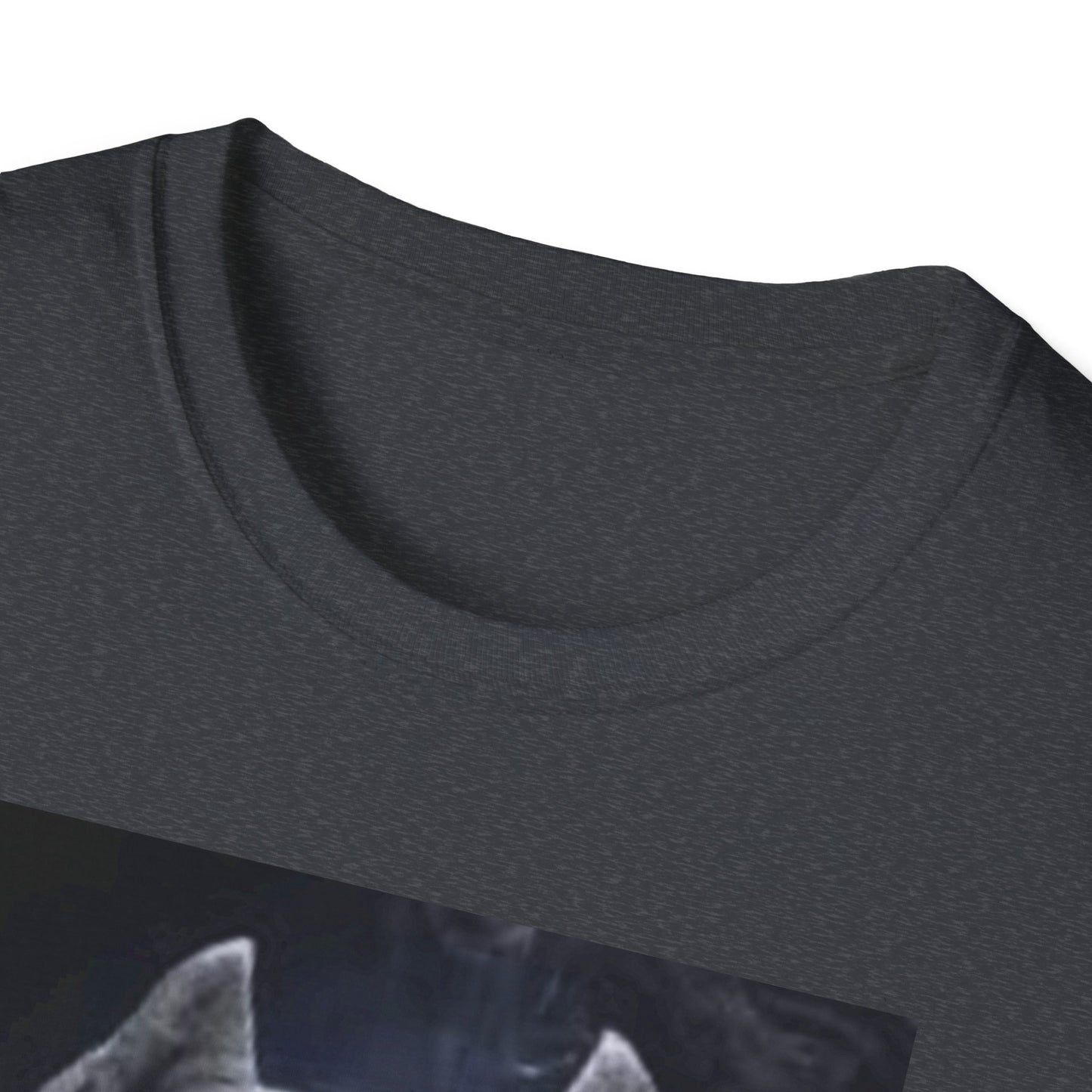 Best Unisex T shirts for Pit Bull Lovers