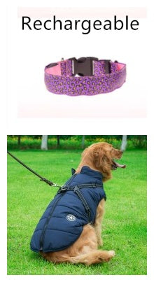 Safety LED Pet Collar with Leopard Design