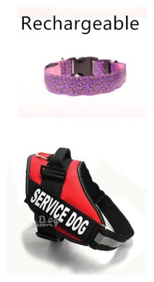 Safety LED Pet Collar with Leopard Design